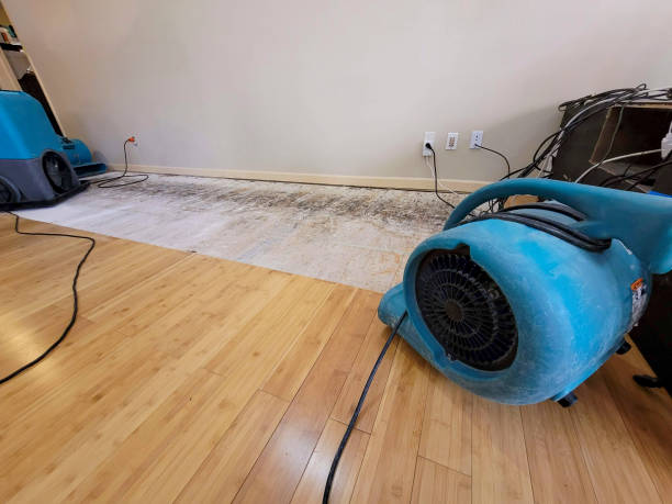 Professional Burst Pipe Water Damage technician working in Kendleton, TX